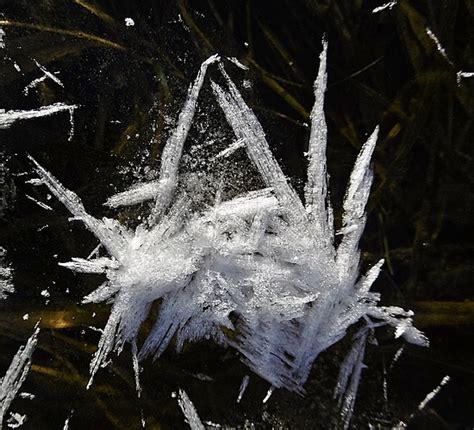 Winterliche Kunst Auf Einem Zugefrorenen Graben Fotos Hikr Org