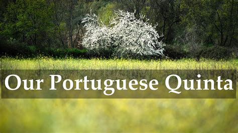 working   portuguese quinta youtube