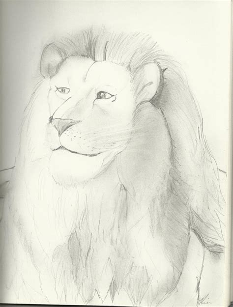 Drawing of Aslan Fan Art by Riverofperil on DeviantArt