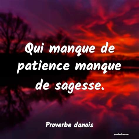 Proverbe Sur La Patience Et La Sagesse Gratuit Citationmeme