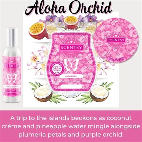 Aloha Orchid Scentsy Bar