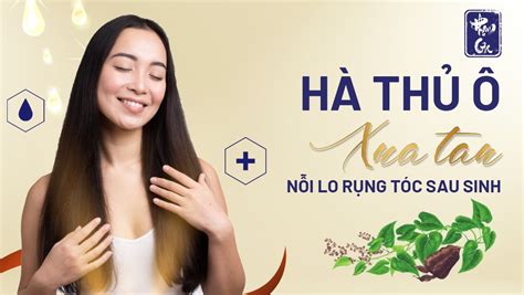 Hà thủ ô Xua tan nỗi lo rụng tóc sau sinh Đông Y Phạm Gia