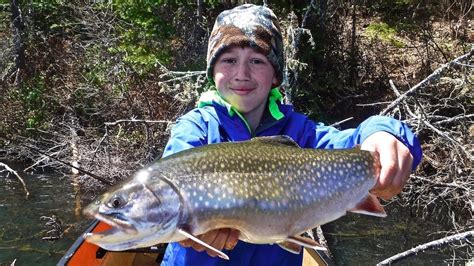 Back Lake Brook Trout Bonanza In Algonquin Park Canada Fishing Guide