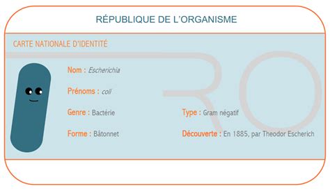 CARTE DIDENTITÉ Escherichia coli Exden