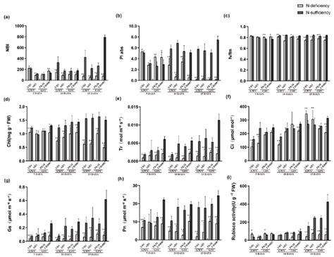 Responses Of Leaf Gas Exchange Parameters To N Deficiency And