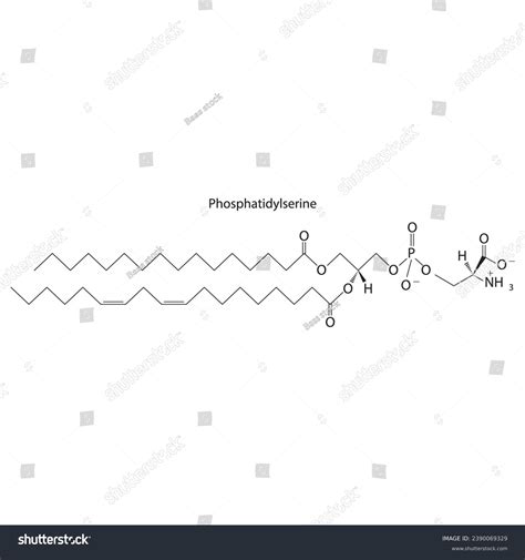 Diagram Showing Schematic Molecular Structure Of Royalty Free Stock Vector 2390069329