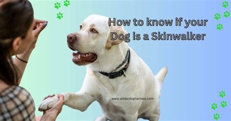 How to know if your Dog is a Skinwalker? 2024