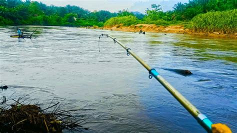 Umpan Nya Yang Jitu Atau Ikan Nya Memang Ganas Baru Nyoba Aja Langsung