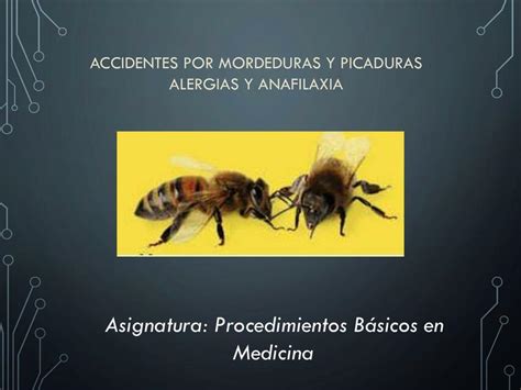 Mordeduras Y Picaduras Tiroxina Med Udocz