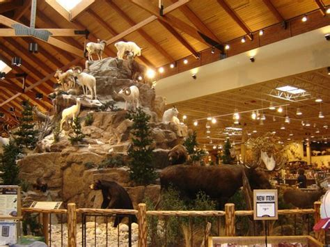 CABELA'S GENERAL STORE & CAFE, Scarborough - Restaurant Reviews, Photos ...