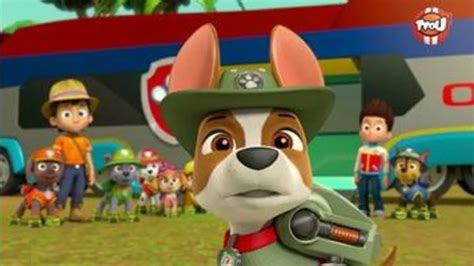 Replay TFou Du 24 05 2023 Paw Patrol La Pat Patrouille Tracker Le