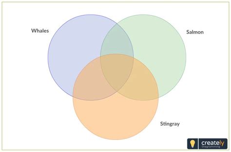 Compare And Contrast Venn Diagram 3 Circles The Three Inters