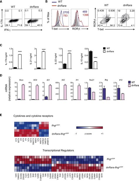 Ra Signaling Required For Th Cell Differentiation And Repression Of