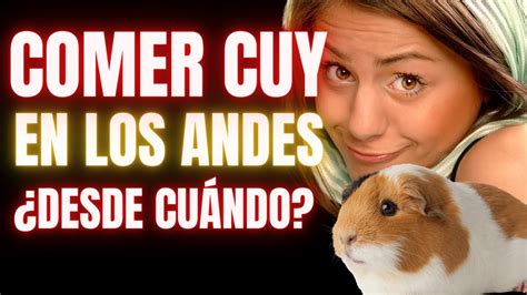 Descubre La Fascinante Historia Del Cuy Te Comer As A Este