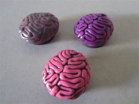 Brain Magnets Set Of 3 Brains Etsy Magnet Set Etsy Magnets