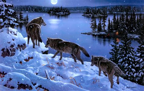 wolves - Wolves Fan Art (38872386) - Fanpop