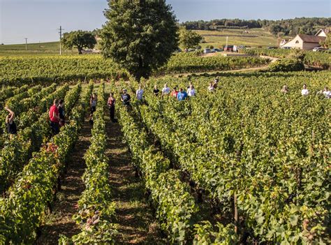 Felettig Gilbert Et Christine Office De Tourisme Gevrey Chambertin