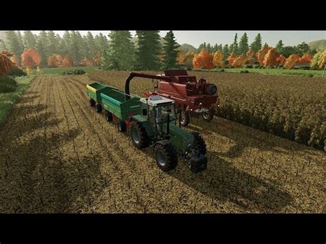 Ls Fr Hling Sonnenblumen Dreschen Farming Simulator Youtube