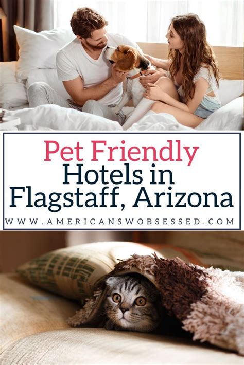 a man and woman sitting in bed with a dog under the covers that says pet friendly hotels in ...