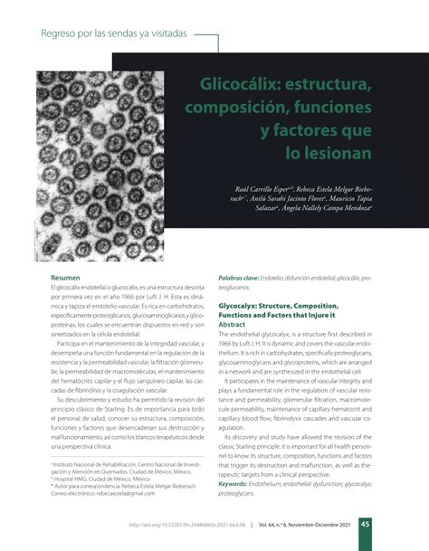 (PDF) Glycocalyx: Structure, Composition, Functions and Factors that ...