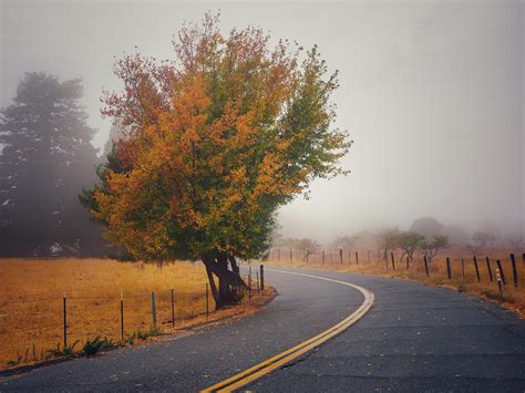 Fall colors and rain in San Diego : sandiego