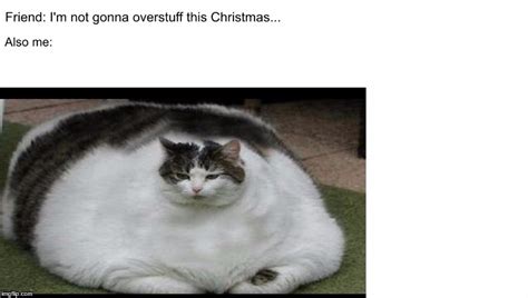 When Your Friends Are On A Diet Imgflip