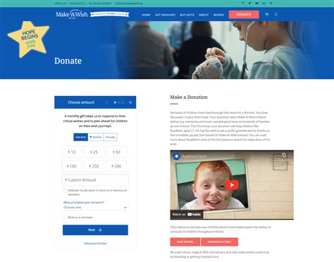 11 Best Donation Page Examples for Better Fundraising