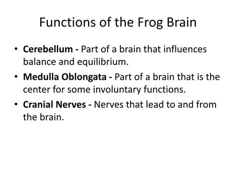 PPT - Frog Body Parts and Functions PowerPoint Presentation, free ...