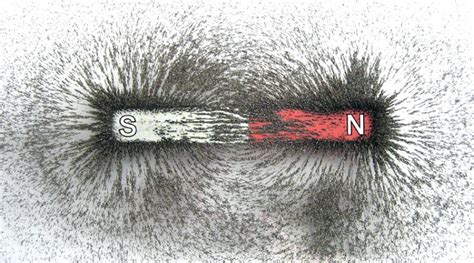 Exploring the Power of the Magnetic Field - My Tech Info