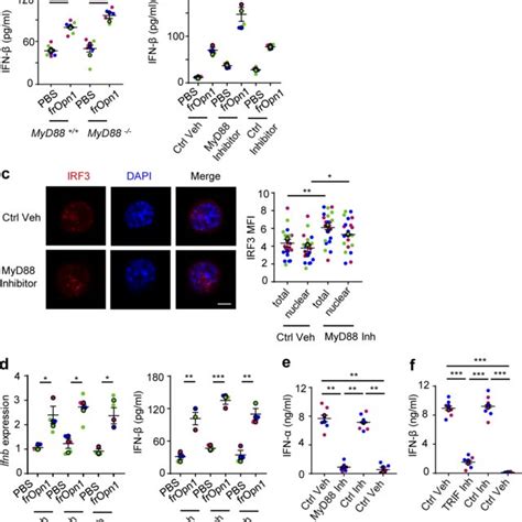 The SLAYGLR motif of Opn upregulates IFN β production by pDCs a