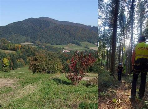 Ma Opolska Paralotniarka Uwi Ziona Na Drzewie Przez Godziny Nie