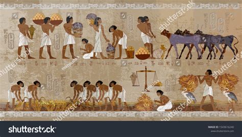 Ancient Egyptian Farming Ancient Egyptian Agriculture Students