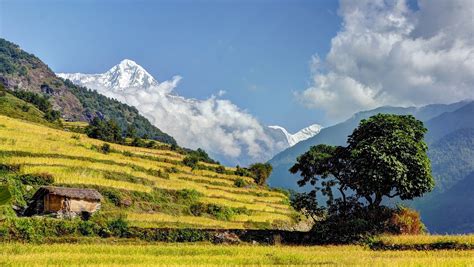 Aggregate More Than Annapurna Wallpaper Tktrading Vn