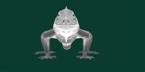 Fiji Banded Iguana Endangered Reptile - 3D Model by Nyilonelycompany