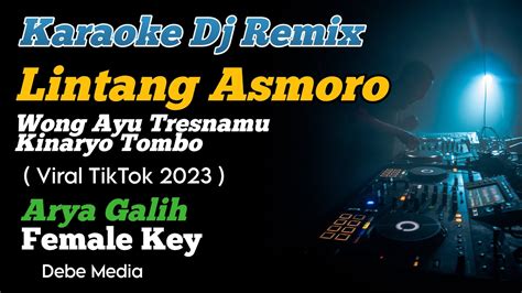 Dj Wong Ayu Tresnamu Kinaryo Tombo Karaoke Remix Lintang Asmoro Nada