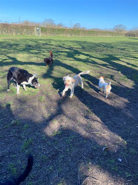 Happy Tails Dog Park Ledsham | Ledsham