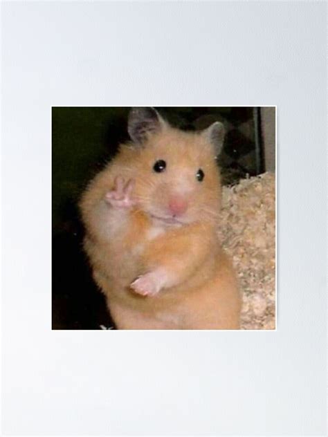 "hamster peace sign meme" Poster for Sale by SAVAGEwav | Redbubble