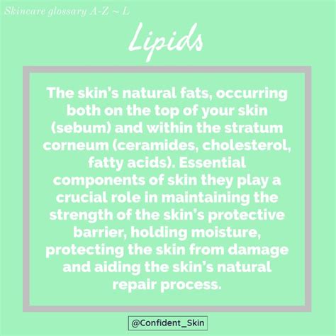 Lipids Skincare Glossary Skin Care Skin Structure Skin