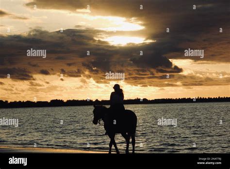 The Sunset Rider Stock Photo Alamy