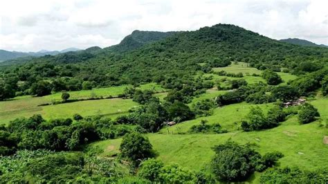 Mountain View Farm Lot In Nasugbu Batangas