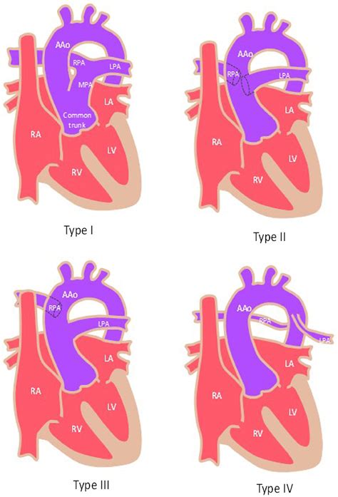 Characteristics Of Cardiovascular Magnetic Resonance Imaging And