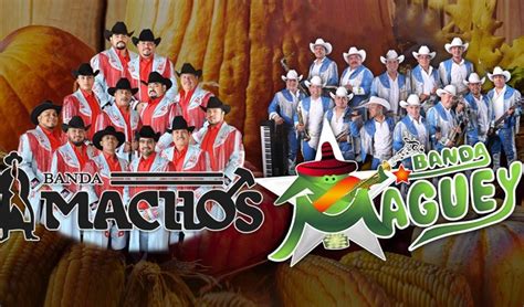 Banda Machos & Banda Maguey Additional Offers