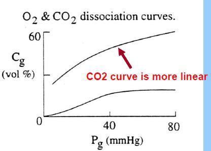 Carbon Dioxide Transport Chemical Control Of Breathing Flashcards