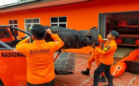 Bocah Tahun Hilang Di Sungai Musi Basarnas Palembang Terjunkan Tim