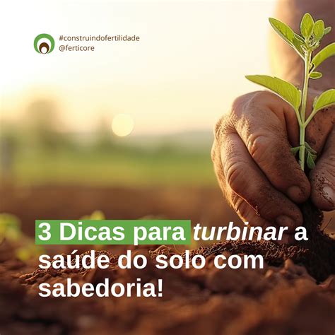 3 DICAS PARA TURBINAR A SAÚDE DO SOLO SABEDORIA