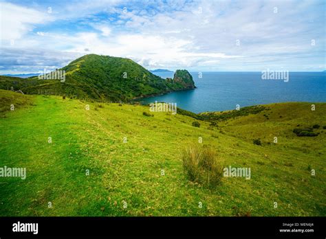 Hiking The Coromandel Coastal Walkway Rainforest And A Steep Coast