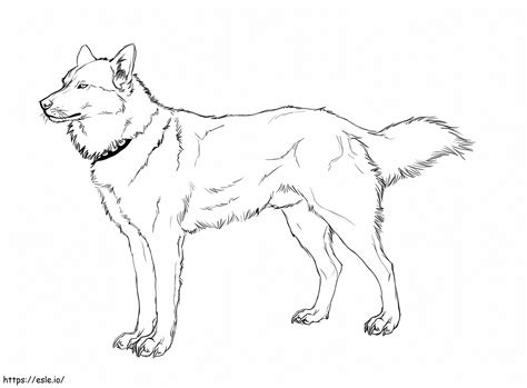 Cool Husky coloring page