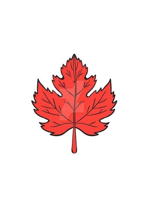 Maple Leaf Drawing by apatrimonio on DeviantArt