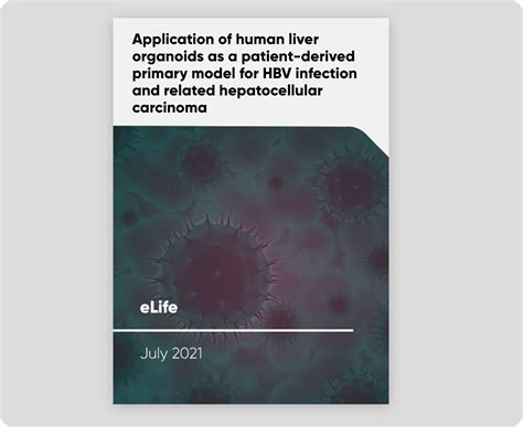 Application Of Human Liver Organoids As A Patient Derived Primary Model