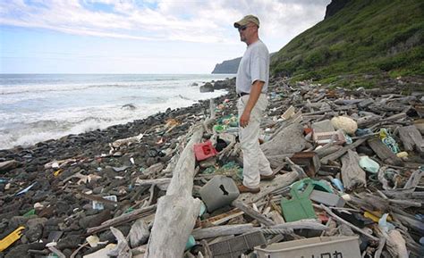 Islas De Basura Caracter Sticas C Mo Se Forman Consecuencias